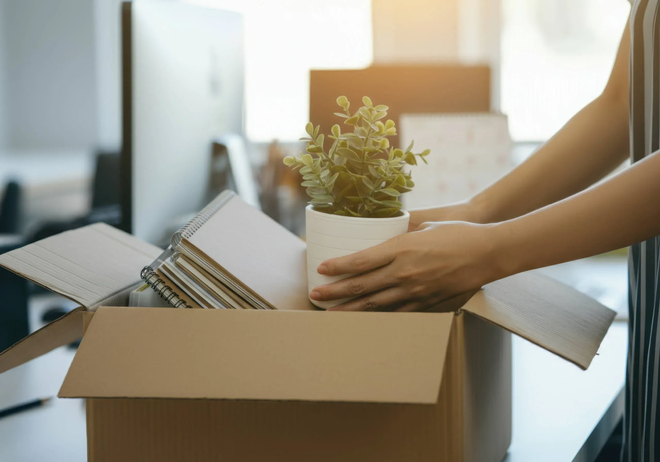 A person packs a potted plant and notebooks into a cardboard box on a desk, suggesting moving or clearing out an office workspace.